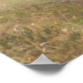 Poster Locomotives Du Train Ferroviaire Dans Le Mist (Coin)