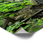 Poster Lodge Falls, Alabama (Coin)