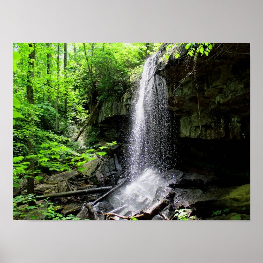 Poster Lodge Falls, Alabama (Devant)