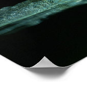 Poster L'Oeil Du Gharial (Coin)