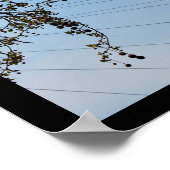 Poster L'Œil en Automne (Coin)