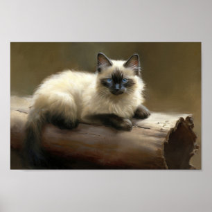 Poster Log Lounger Siamese Kitten