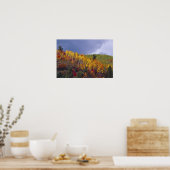 Poster Logan Canyon dans l'Utah en automne avec passage (Cuisine)