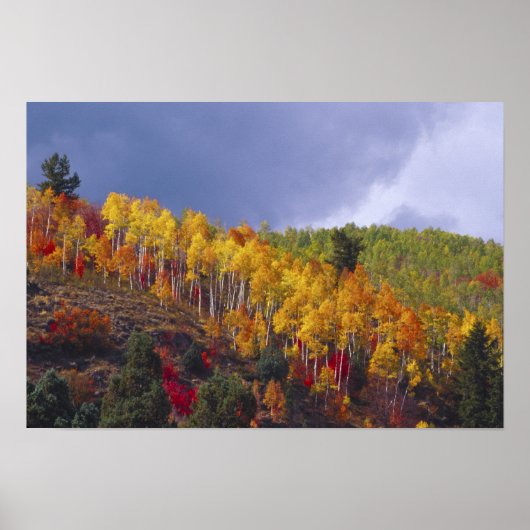 Poster Logan Canyon dans l'Utah en automne avec passage (Devant)