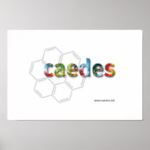 Poster Logo Caedes.net (Devant)