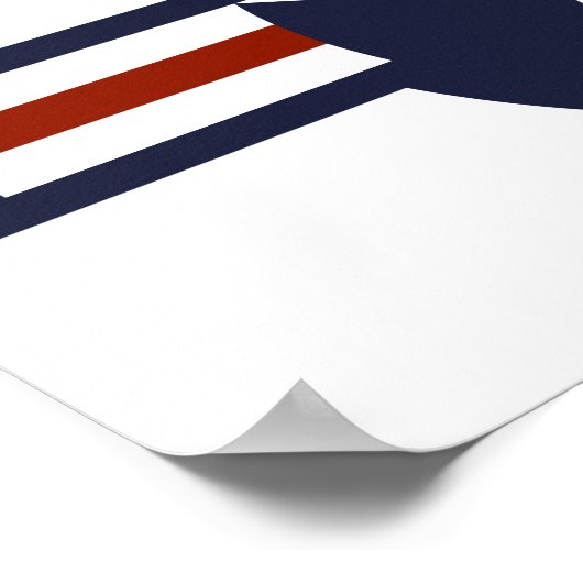 Poster Logo de la Force aérienne (Coin)