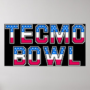 Poster Logo de Tecmo Bowl