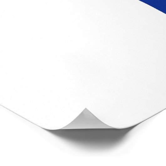 Poster Logo Démocrate (Coin)