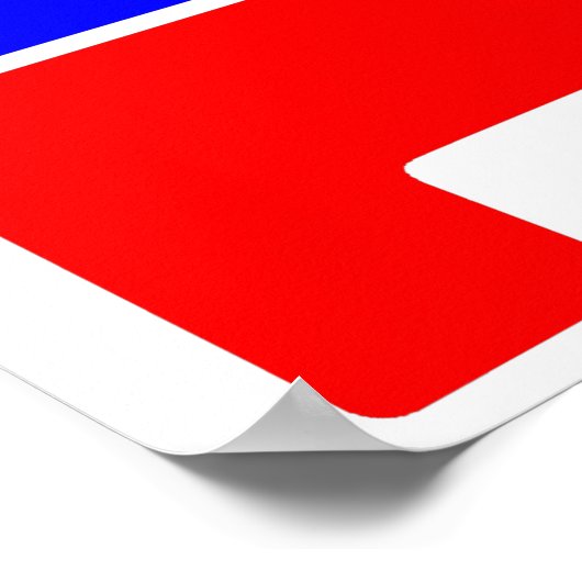 Poster Logo du parti républicain Dunce (Coin)