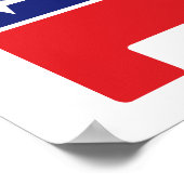 Poster Logo du président Donald Trump GOP Elephant Hair (Coin)