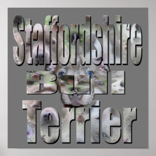 Poster Logo photo Staffordshire Bull Terrier,
