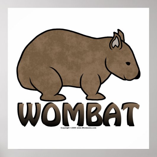 Poster Logo Wombat II (Devant)