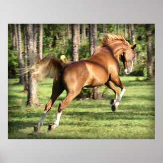 Poster Loie Lou S'Amusant