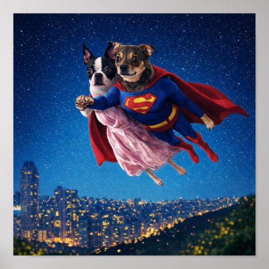 Poster "Lois & Kal" (Devant)