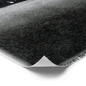 Poster L'oiseau Gooney (Coin)