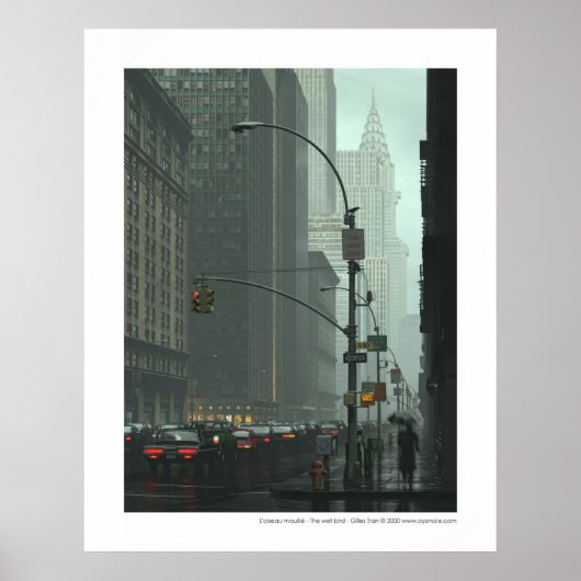 Poster L'oiseau mouillé - L'oiseau mouillé (Devant)