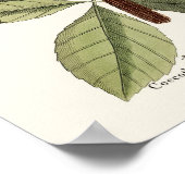 Poster L'Oiseau Rouge - Seligmann (Coin)