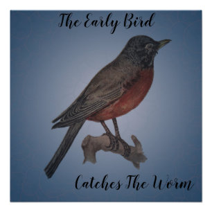 Poster L'oiseau tôt attrape le ver