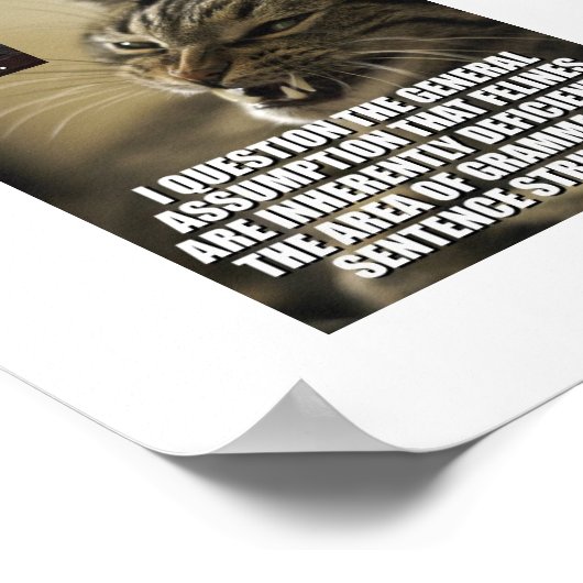 Poster lol-catz-frappe-back, boo-do-i-skeerd-u_jpg_th... (Coin)