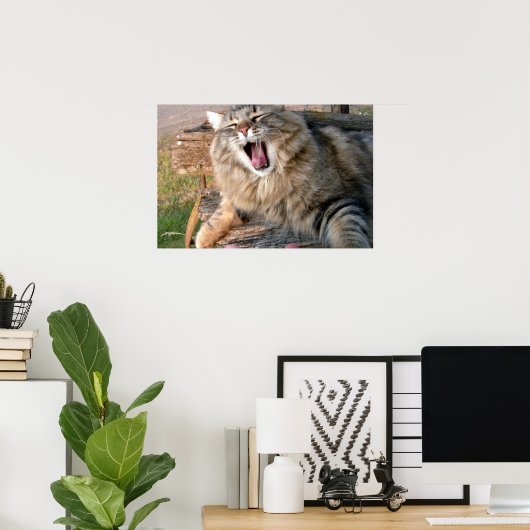 Poster LOL Maine Coon (Bureau à domicile)