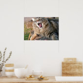 Poster LOL Maine Coon (Cuisine)