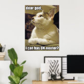 Poster LOLcat - mon dieu (Bureau à domicile)