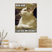 Poster LOLcat - mon dieu (Cuisine)