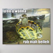 Poster LOLturtle - rub mah belleh (Devant)