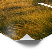 Poster Londres: La Ciudad del Big Ben - Parques y Skyline (Coin)