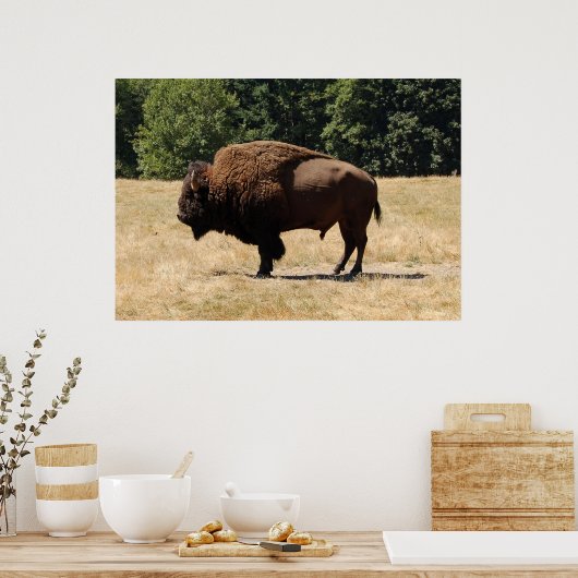 Poster Lone Buffalo (Cuisine)