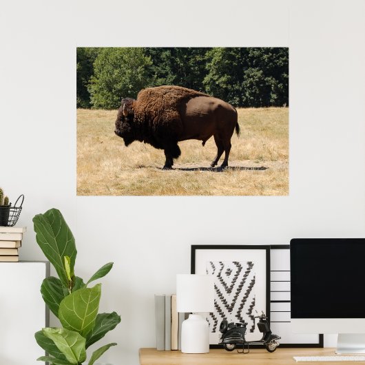 Poster Lone Buffalo (Bureau à domicile)