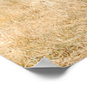 Poster Lone Buffalo (Coin)