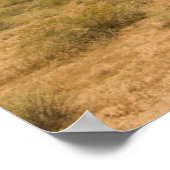 Poster Lone Cactus (Coin)