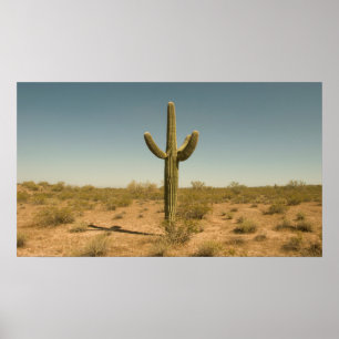 Poster Lone Cactus