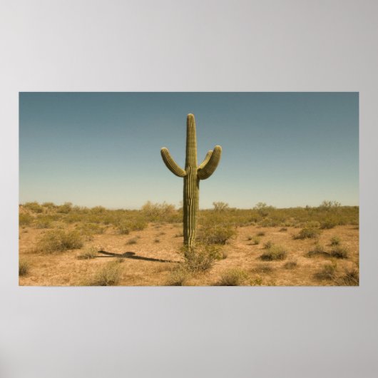 Poster Lone Cactus (Devant)