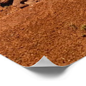 Poster Lone Cowboy (Coin)