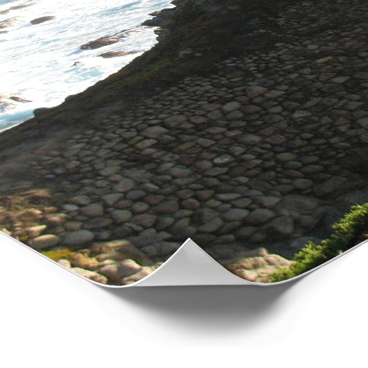 Poster Lone Cypress dans 17 miles Drive (Coin)