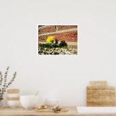 Poster Lone Dandelion (Cuisine)