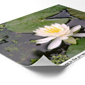 Poster Lone Lily avec May Sarton Citation (Coin)