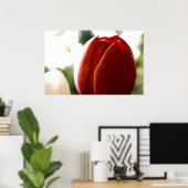 Poster Lone Red Tulip (Bureau à domicile)