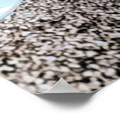 Poster Lone Rider cafe cruise. (Coin)