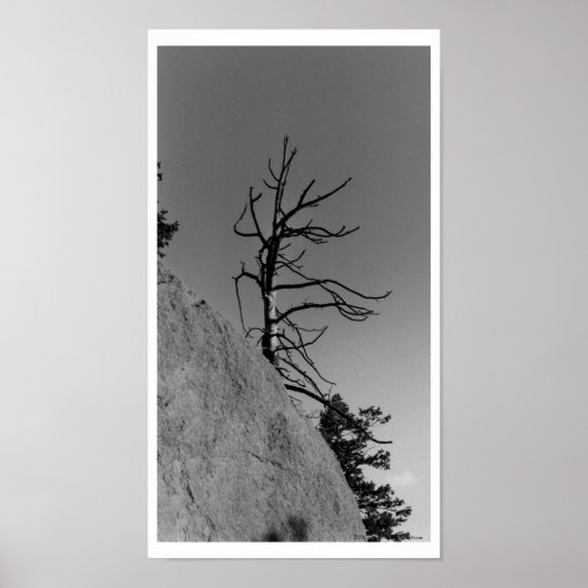 Poster Lone Sky Tree, photo numérique de Mark Easton (Devant)