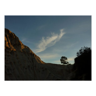 Poster Lone Torrey Pine Californie Sunset Paysage
