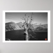 Poster Lone Tree (Devant)