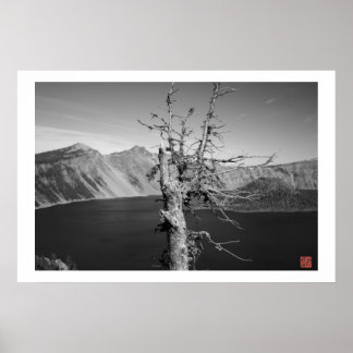 Poster Lone Tree