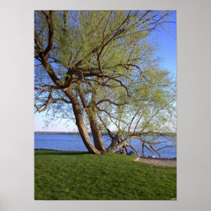 Poster Lonely