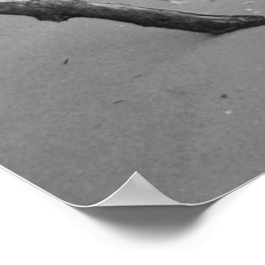 Poster Lonely Beach (Coin)