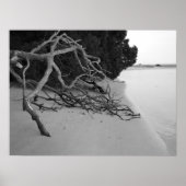 Poster Lonely Beach (Devant)