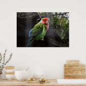 Poster Lonely Lovebird (Cuisine)