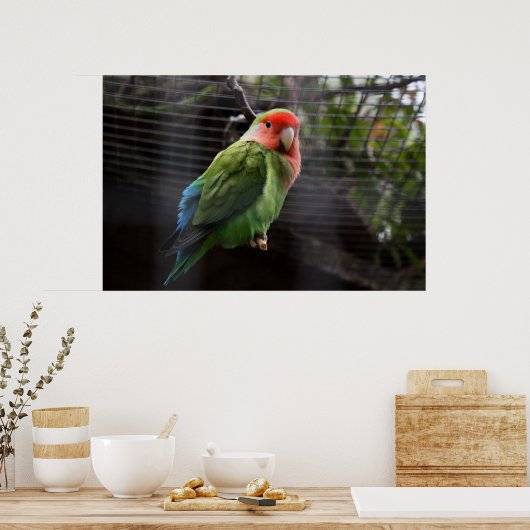 Poster Lonely Lovebird (Cuisine)